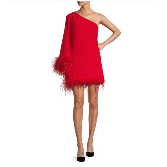 Antonio Melani Cosima One Sleeve Asymmetrical Neckline Feather Trim Dress - Picture 1 of 11